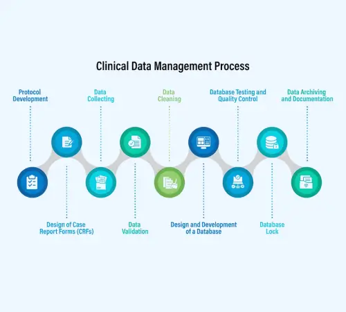 Creating, Analyzing and Maintaining Data and Improved Reporting Processes