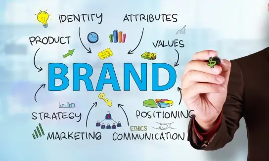 Brand Authority