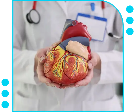 A2Z Billings Michigan's Trusted Vascular Surgery Billing Partner