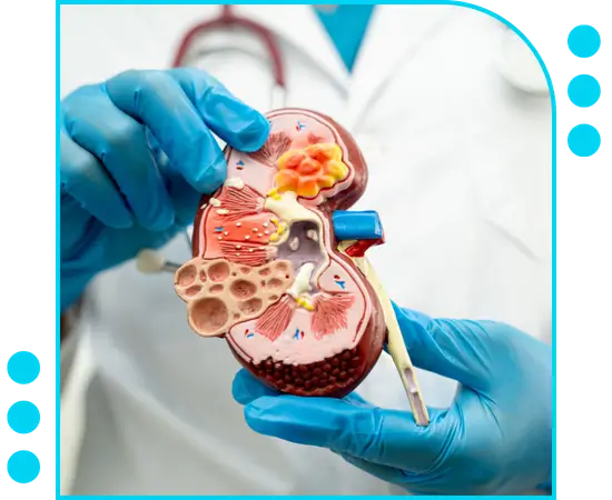 A2Z Billings - Your Trusted Nephrology Billing Company in Michigan