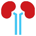 Urology