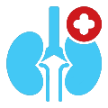 Nephrology